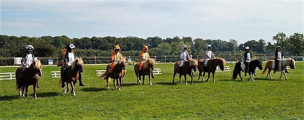 Poney Club D'incarville, Centre Equestres à Saint-Aubin-Celloville