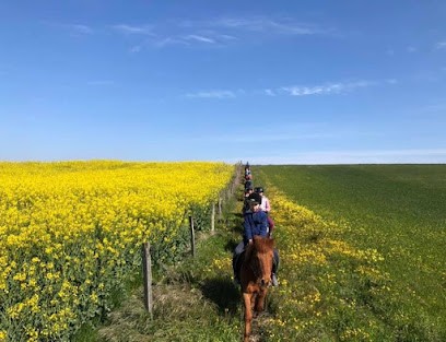 Domaine Equestre Des Pialoux, Centre Equestres à Montvendre