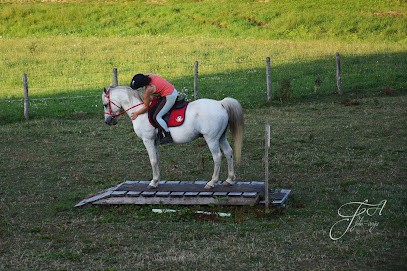 Les ecuries de Kashi, Pension pour Chevaux à Bassignac-le-Haut