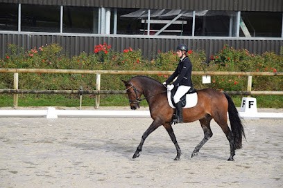 Equinatur'eau, Centre Equestres à Taizé-Aizie