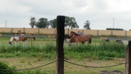 Pony Club Le Pré Vert, Centre Equestres à Mastaing