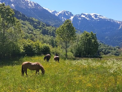 Equitherapy & Riding L'équinoxe, Centre Équi-Social Marion Cattani-, Centre Equestres à Revel