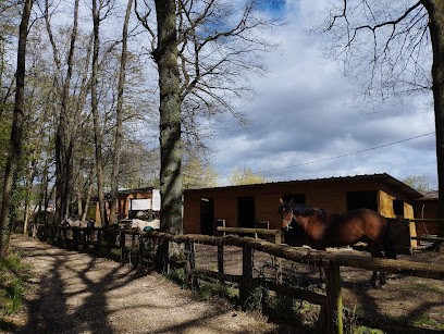 Janvry équitation, Centre Equestres à Janvry
