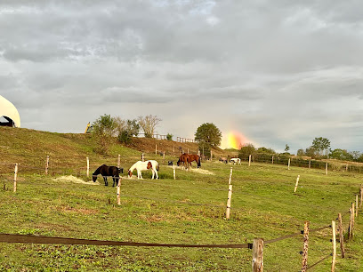 " L'authentique " Domaine Équestre Centre Équestre à Saint-Polgues