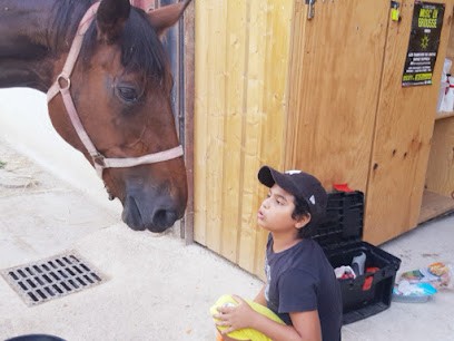 La Ferme Du Cavallon, Pension pour Chevaux à Bougnon