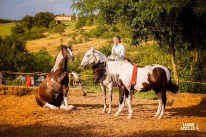 Domaine équin de Farabet, Pension pour Chevaux à Saint-Cyr-de-Favières