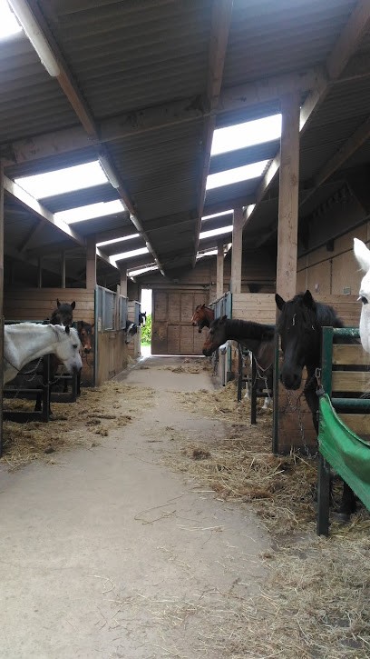 Centre Equestre Kernoues, Centre Equestres à Kernouës