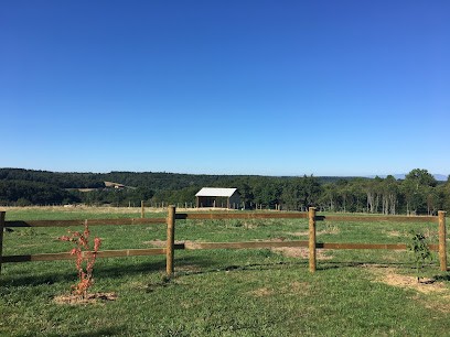 Relais De Bonlieu, Pension pour Chevaux à Lieudieu