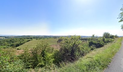 Ecole D Equitation Des Vallees, Centre Equestres à Réalmont