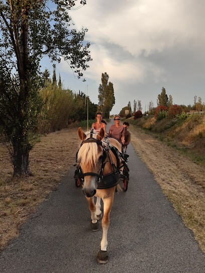 Tous Cavaliers Équithérapie 66, Centre Equestres à Saint-Génis-des-Fontaines