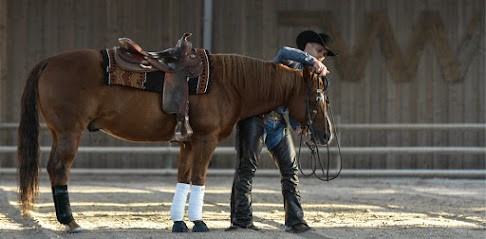 Westerlies Performance Horses-Centre D'équitation Western, Centre Equestres à Hourtin