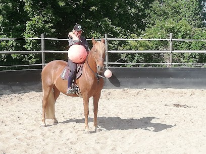 Débourrage D'Ici Et D'Ailleurs, Centre Equestres à Flamanville