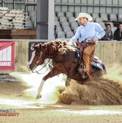 Gb Quarter Horses , Gregory Legrand, Centre Equestres à Villette