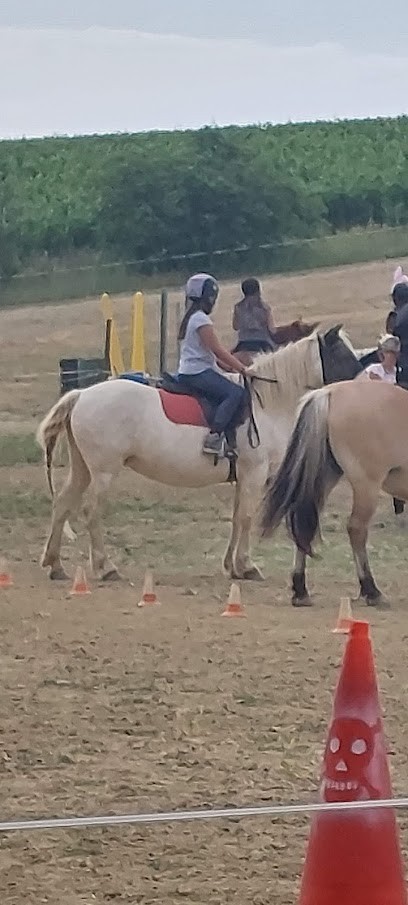 Les Fjords Du Razes, Centre Equestres à Routier