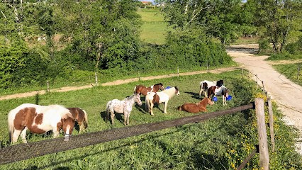 Ecurie Small Fontaines Edpf, Centre Equestres à Villetoureix