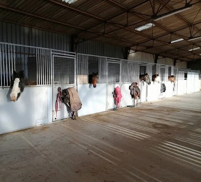 Les Ecuries Les Ptits Sabots De Germigny, Centre Equestres à Germigny