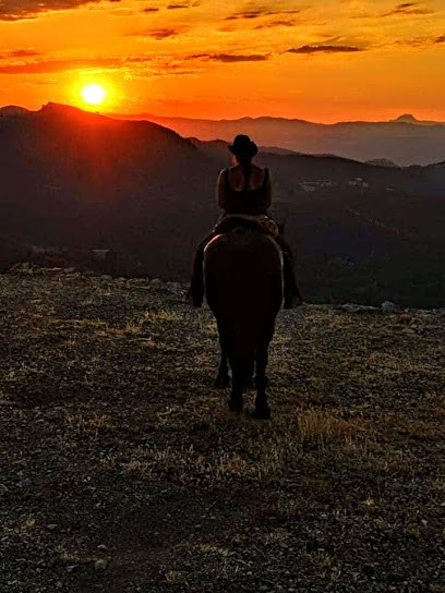 Le Clan D'epona Pension Chevaux - Rééducation, Pension pour Chevaux à Terrats