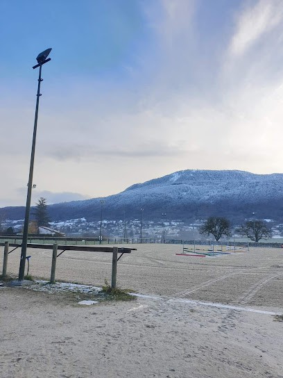 Ecurie de Moniaz, Pension pour Chevaux à Saint-Cergues