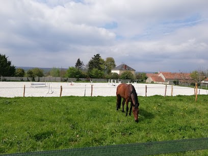 Haras des Cosmiques, Pension pour Chevaux à Tancrou