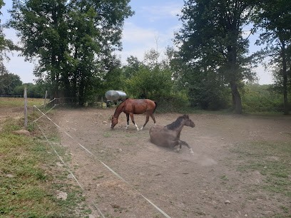 La Chevauchée Du Bois, Centre Equestres à Ibos