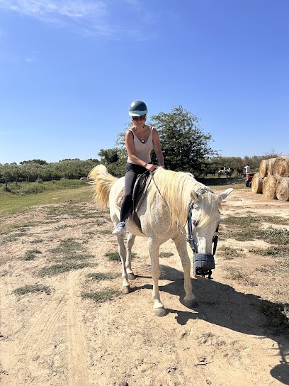 Écurie Les Crins De Pauline, Centre Equestres à Sainte-Marie-la-Mer