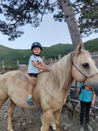 Ranch U Tragulinu, Centre Equestres à Farinole