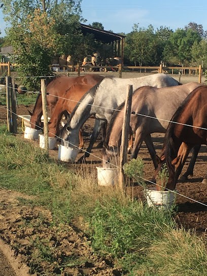 Hippo'camp D'aouzet, Centre Equestres à Lamasquère