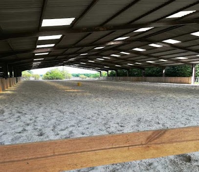 ELEVAGE TOBESBEN, Pension pour Chevaux à Sépeaux-Saint Romain