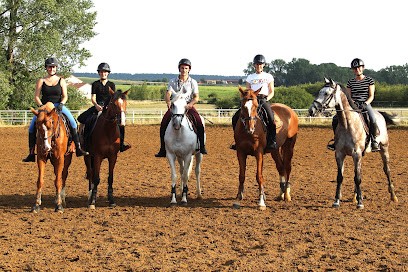 Equestrian Center Du Quoiré Trieux, Centre Equestres à Trieux