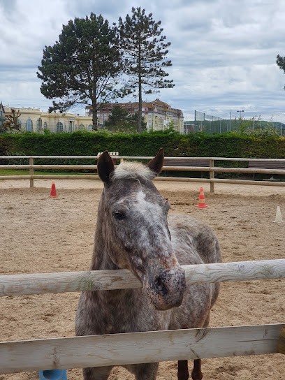 LA MANGEOIRE, Centre Equestres à Deauville