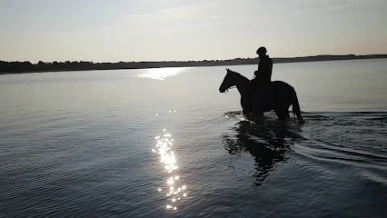 Haras De Limarzel - Centre De Soins Pour Chevaux, Centre Equestres à Assérac
