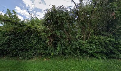 ECURIE DE L AUJONNIERE, Centre Equestres à Méry-ès-Bois