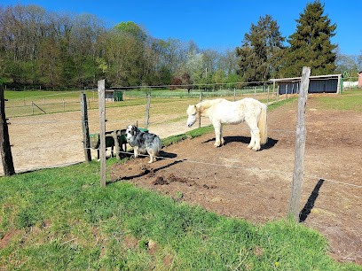 Haras De Fontaineliveau, Pension pour Chevaux à Étréchy