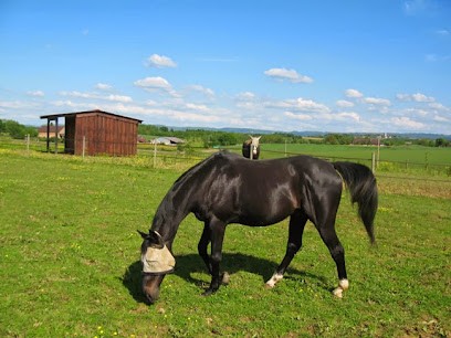 Les Ecuries du Colombier, Centre Equestres à Colonne