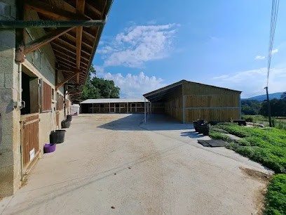 Espace Cheval, Centre Equestres à Courmangoux