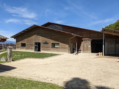 Les Ecuries du Fort Viry, Centre Equestres à Viry