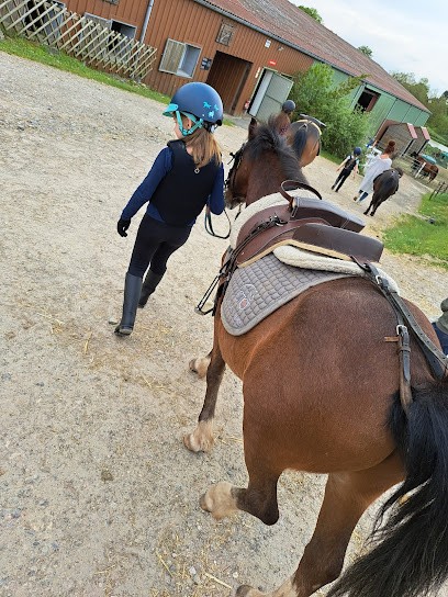 Écurie Petiot, Centre Equestres à Évette-Salbert