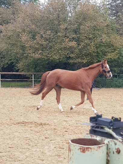 CENTRE EQUESTRE DE MAIRY, Centre Equestres à Mairy-Mainville