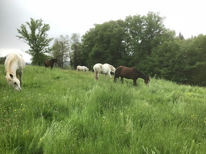 Les Ecuries Des Colombes, Centre Equestres à Troche