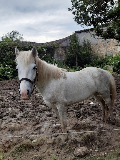 Les Cavaliers Du Pays Cathare, Centre Equestres à Magrin