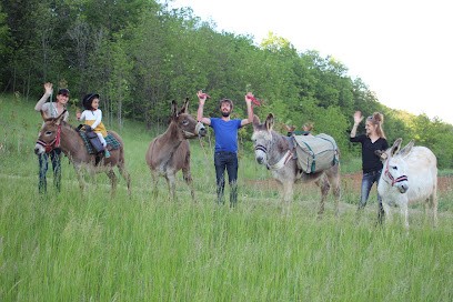 Les Anes'rient De Lascaux, Centre Equestres à Aubas
