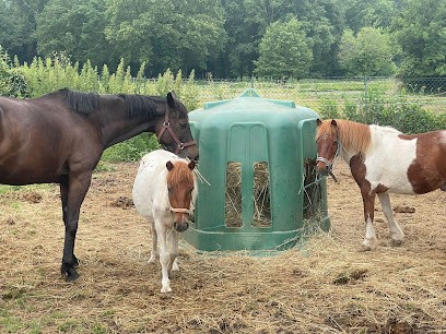 CLUB HIPPIQUE SOUILLAGAIS, Centre Equestres à Souillac
