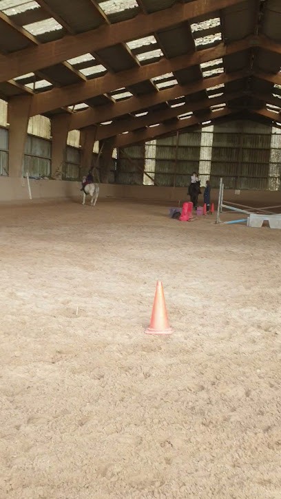 STEPHANE PONCET, Centre Equestres à Pommeuse