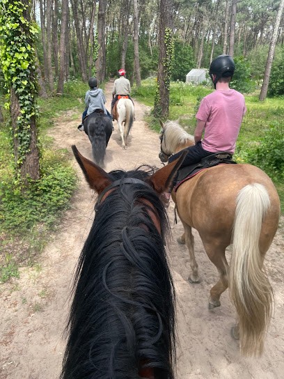 Equestrian Center La Champagne, Centre Equestres à Saint-Molf