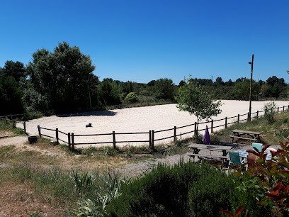 Les Ecuries de Bel Air, Pension pour Chevaux à Grabels
