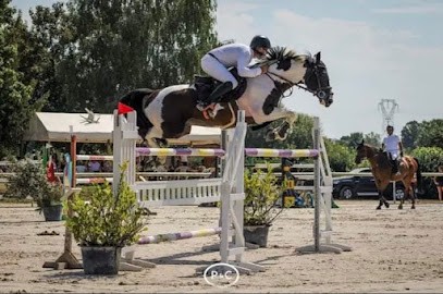 Elevage Des Teppes, Pension pour Chevaux à Saint-Martin-d'Auxy