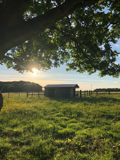 Les Cavaliers Du Goulet, Centre Equestres à Saint-Éliph