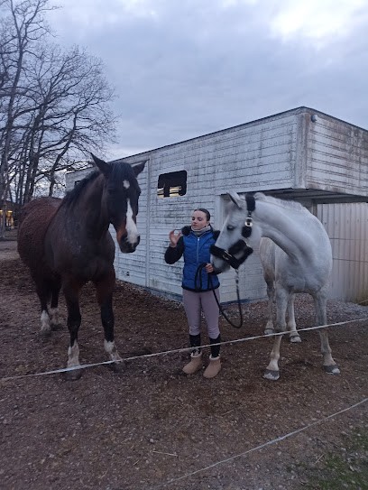 Ecurie Saint Amour, Pension pour Chevaux à Messery