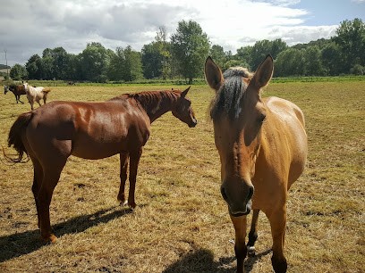 Les Ecuries De La Renaissance, Centre Equestres à Estissac