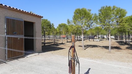 Ecuries Saint Martin du Pin, Pension pour Chevaux à Montagnac